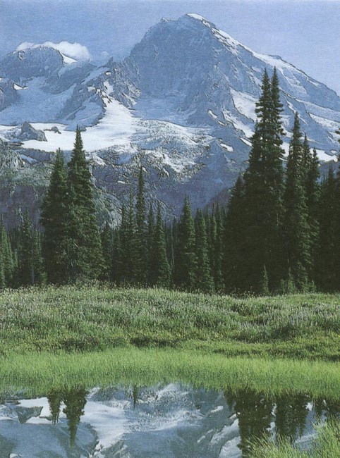 Obituary of Bobby Joe Durham