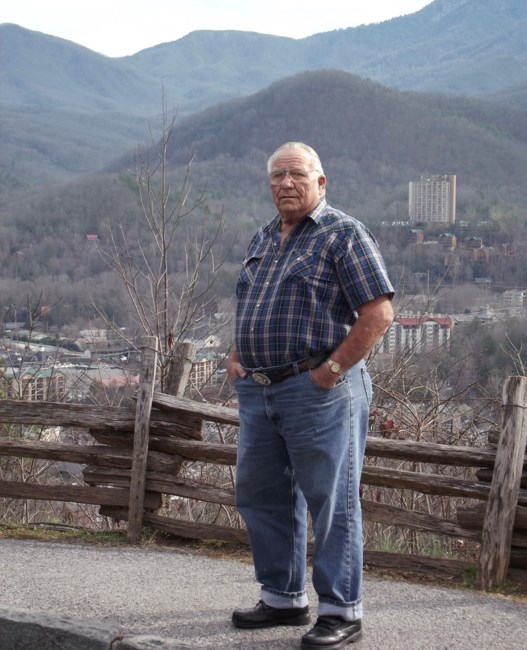 Obituary of Lamar Eugene Willis