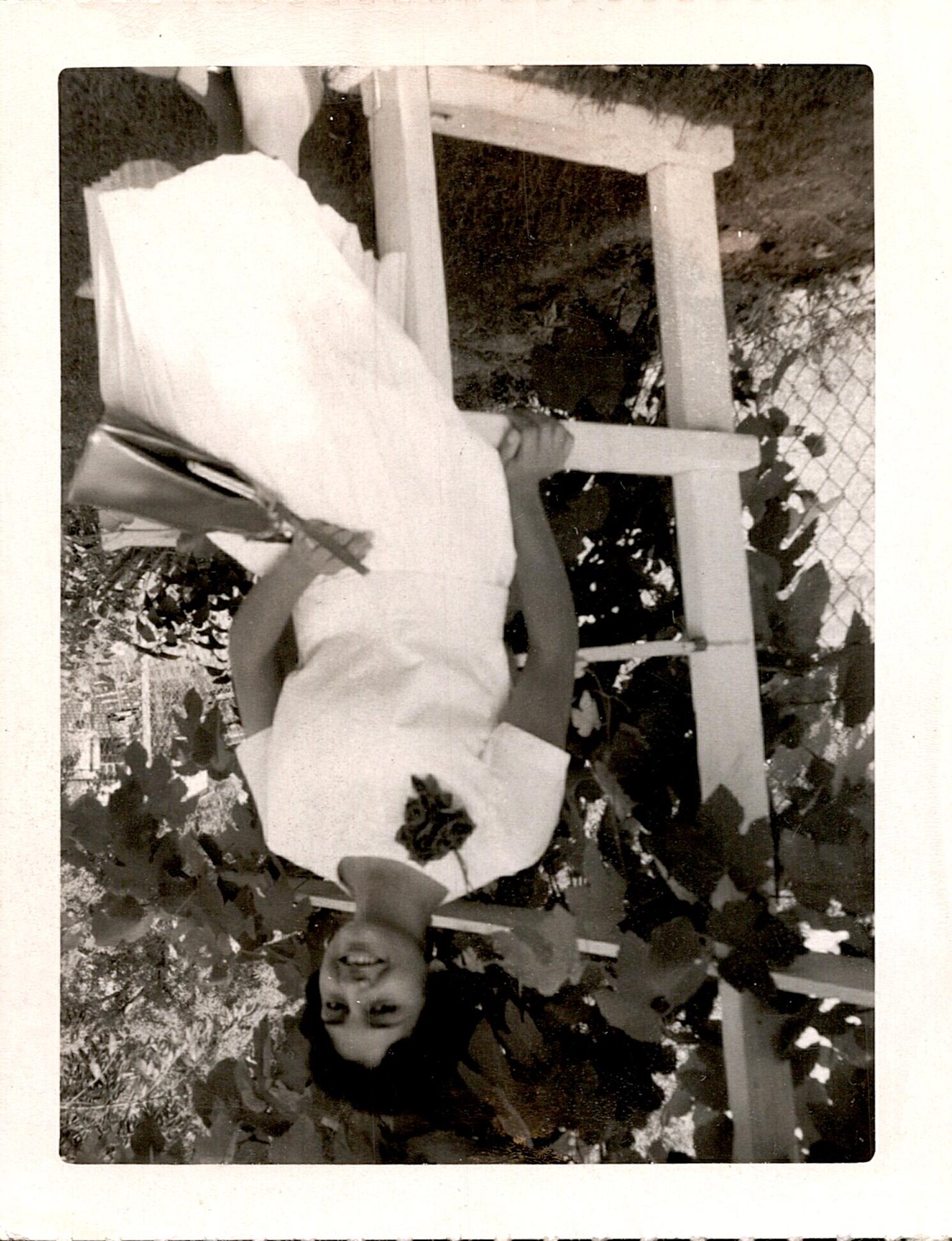 Obituary of Graciela Erlinda Fleming