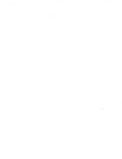 Susan Rollo Obituary