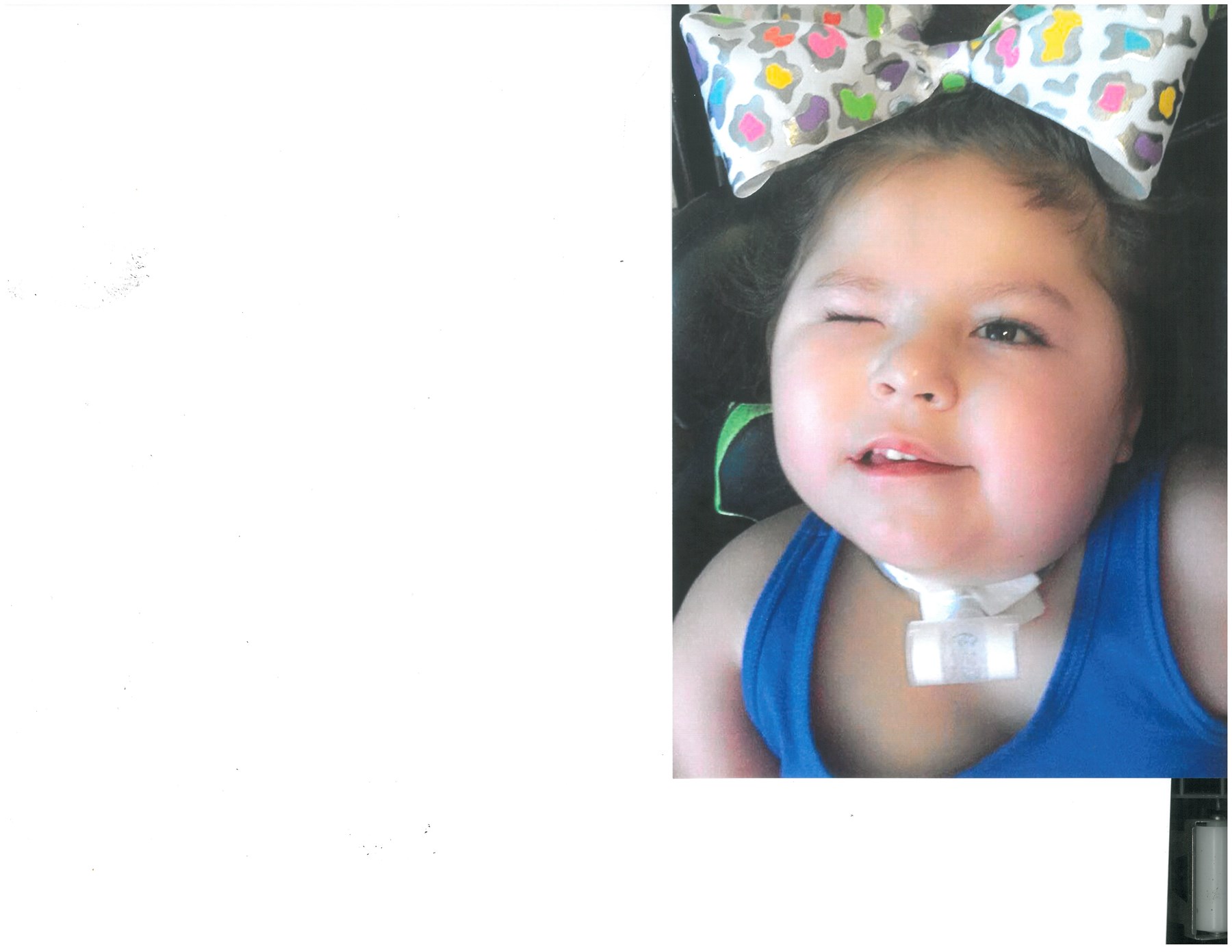 Obituary of Lorelei Grace Salmon