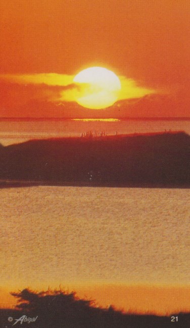 Obituary of John C. Martin