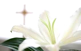 Obituary of Clayton S. McCoy