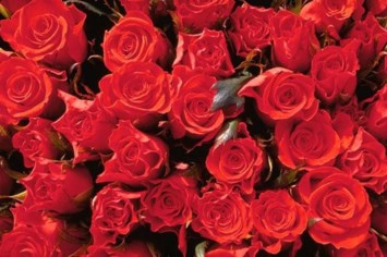 Obituary of Lilly Mae Burke