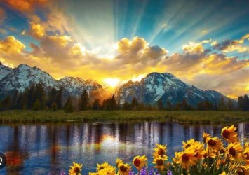 Obituary of Ronald Steven Hall Sr.