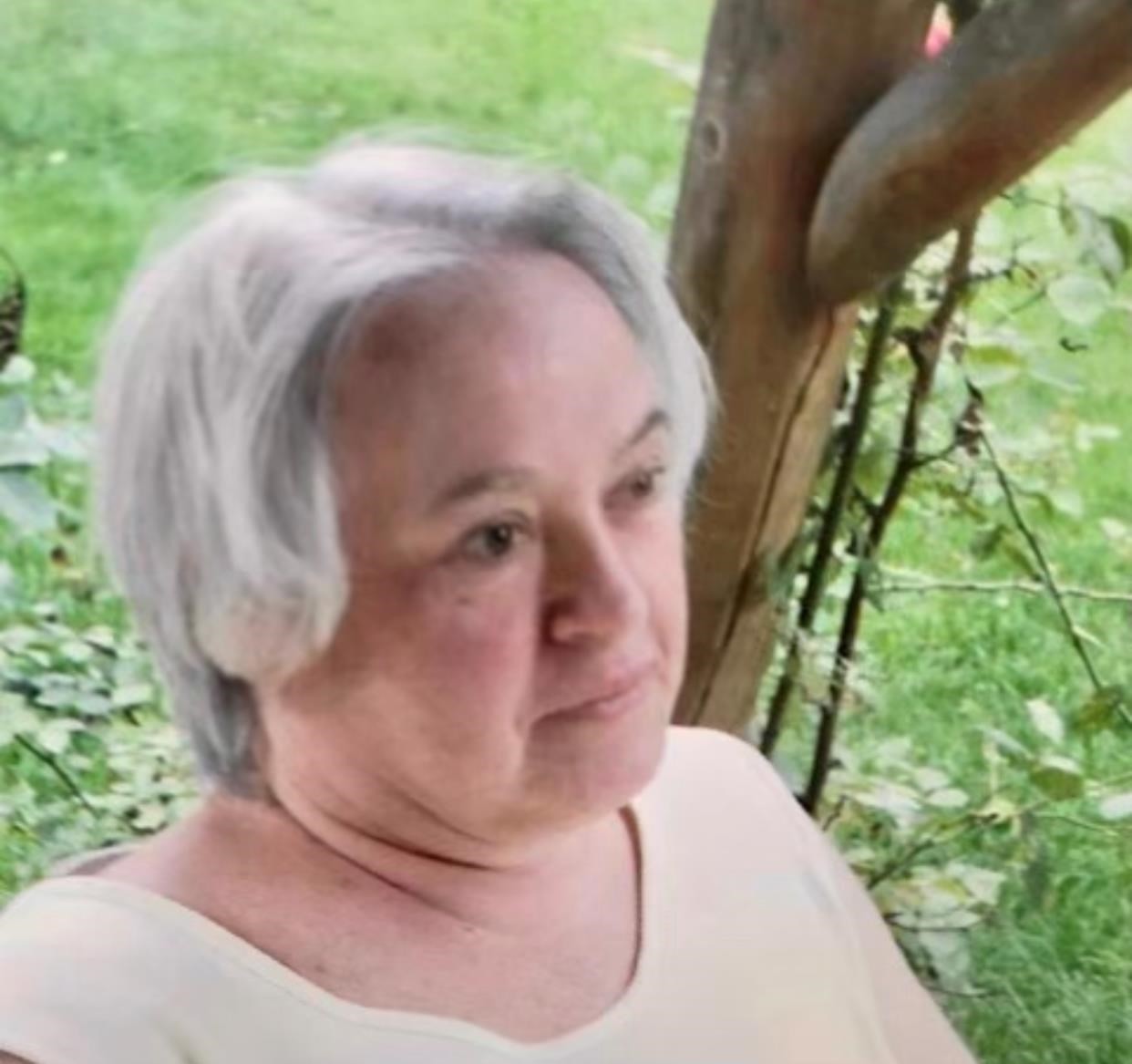 Obituary of Karen Lee Saul
