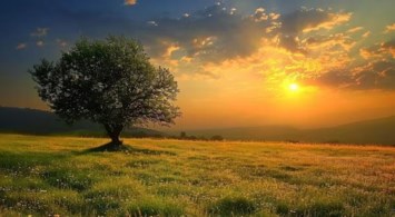 Obituary of William John Gouin