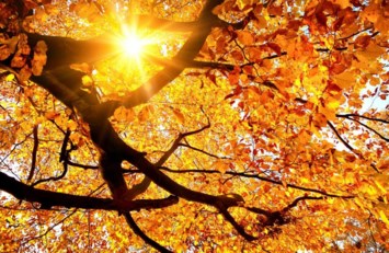 Obituary of Steven Wayne Andrews