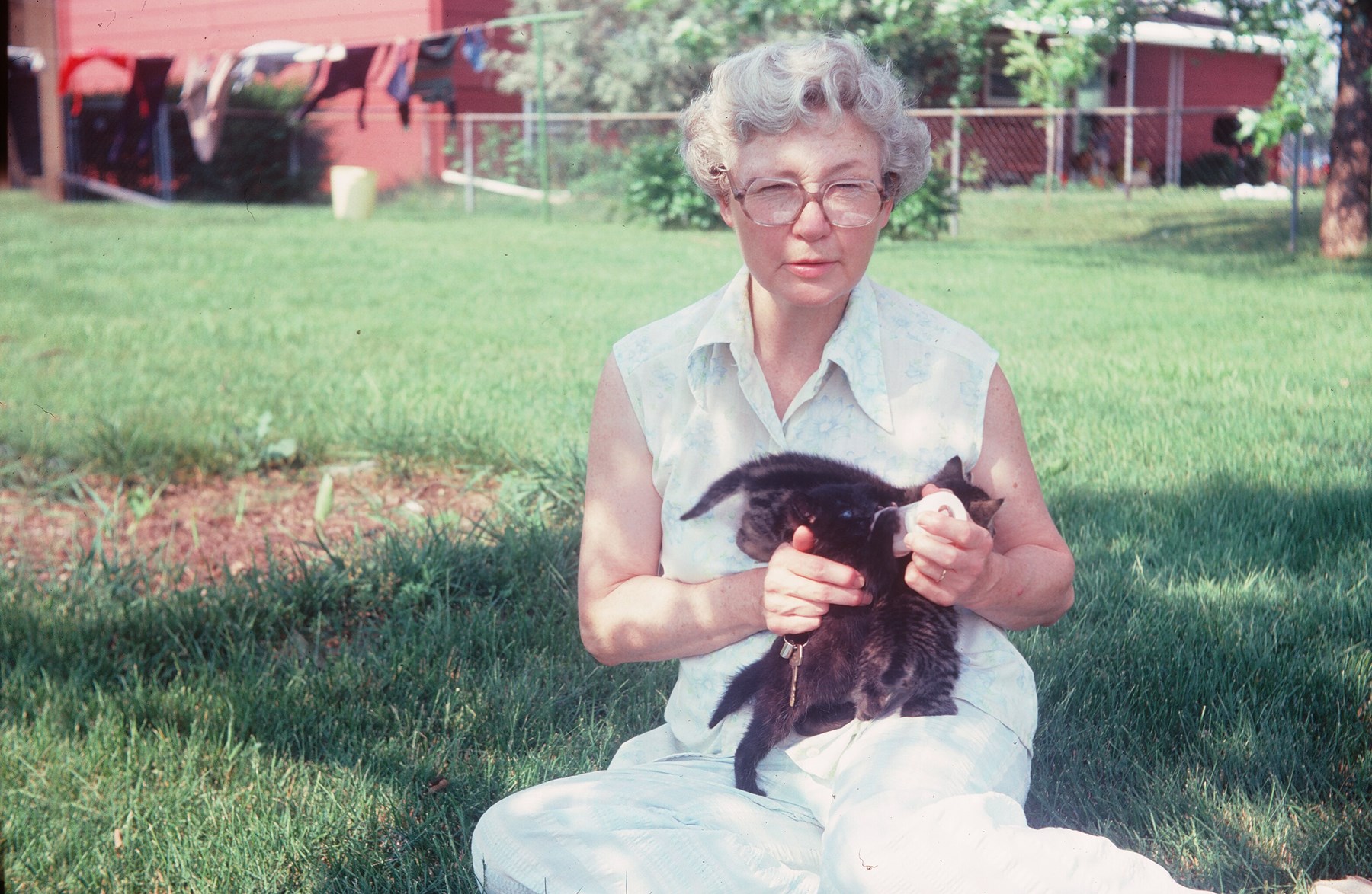 Obituary of Eileen Mae (Hargrave) Losie