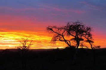 Obituary of Kathryn Alisha Clark