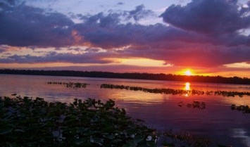 Obituary of William J. Warner