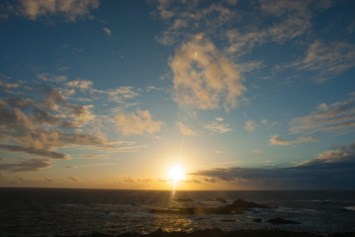 Obituary of Kevin L. Shea