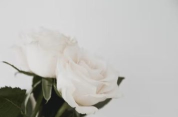 Obituary of Victoria Susan Miller