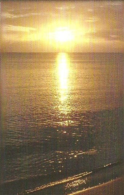 Obituary of Thomas O'Toole