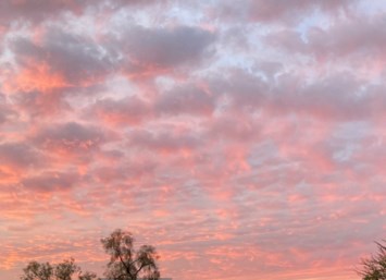 Obituary of Laverne Blocker Morris