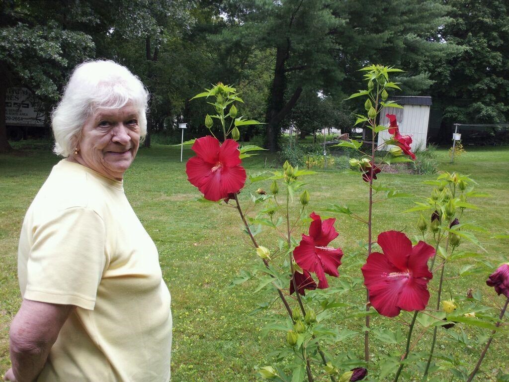 Obituary of Norma Jean Klink