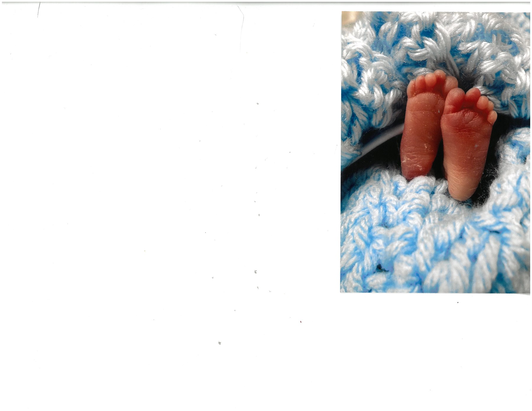 Obituary of Drue Morales