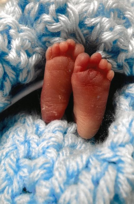 Obituary of Drue Morales