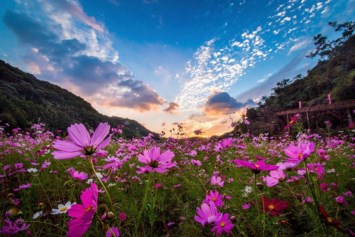 Obituary of Josephine M. Ramos