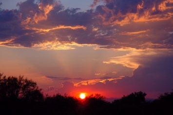 Obituary of William Jere Longshore
