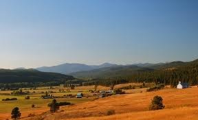 Obituary of Robert McFadden