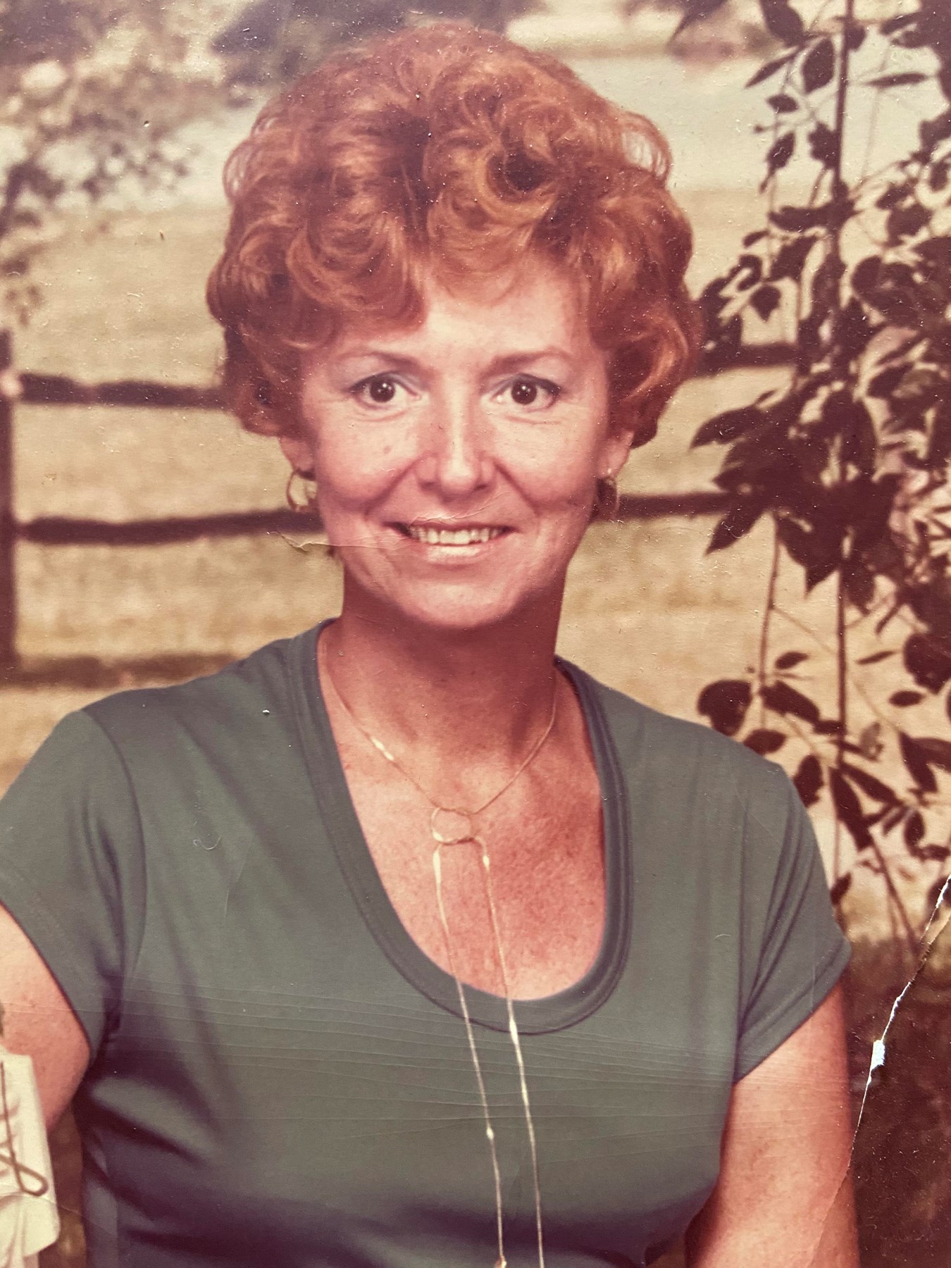 Obituary of Lorraine Joyce Gisiano