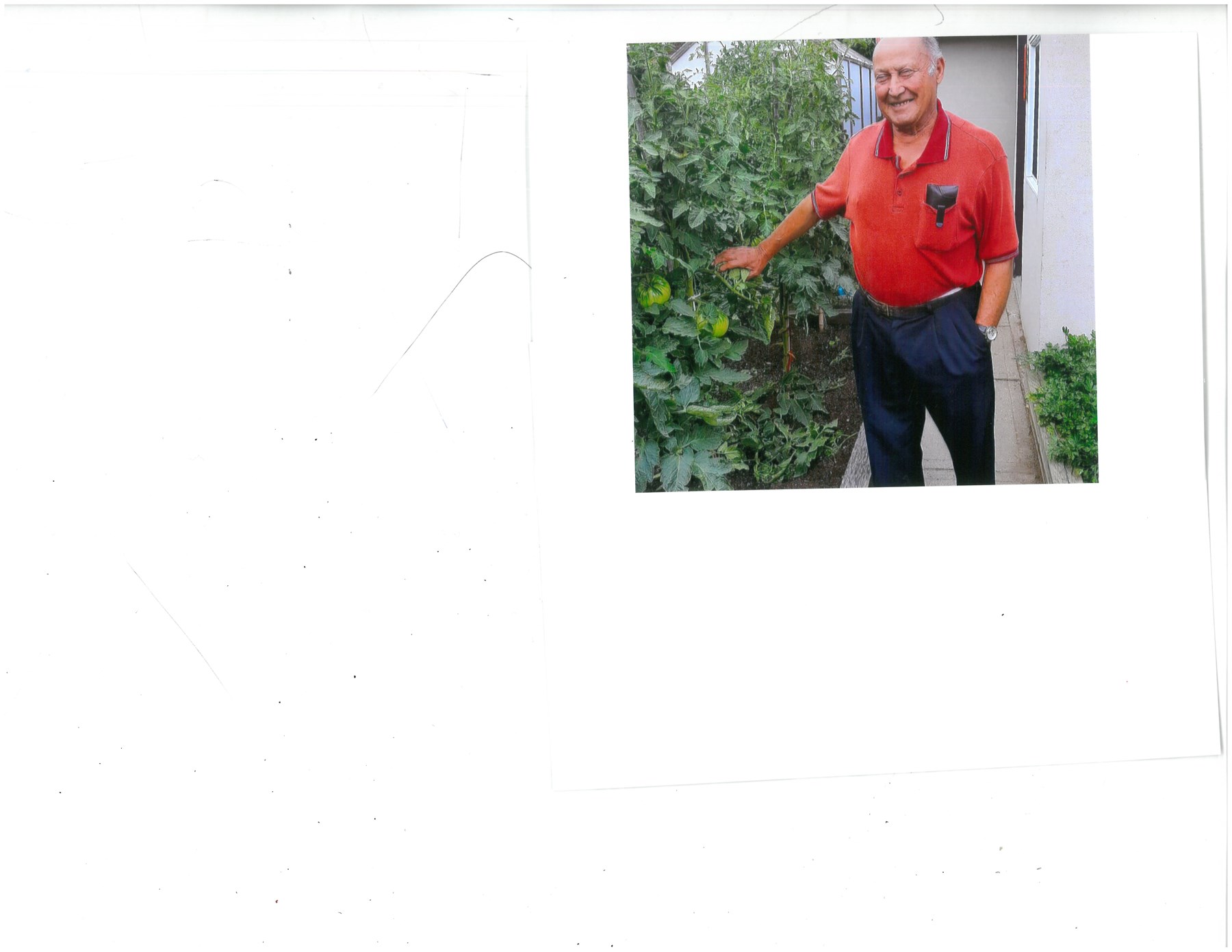 Obituary of Salvatore "Sam/Turi" Di Martino