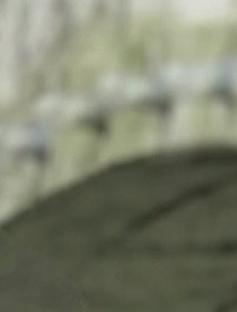 Kenneth Levine Obituary - Covington, LA