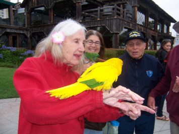 Obituary of Bernadine Lynn