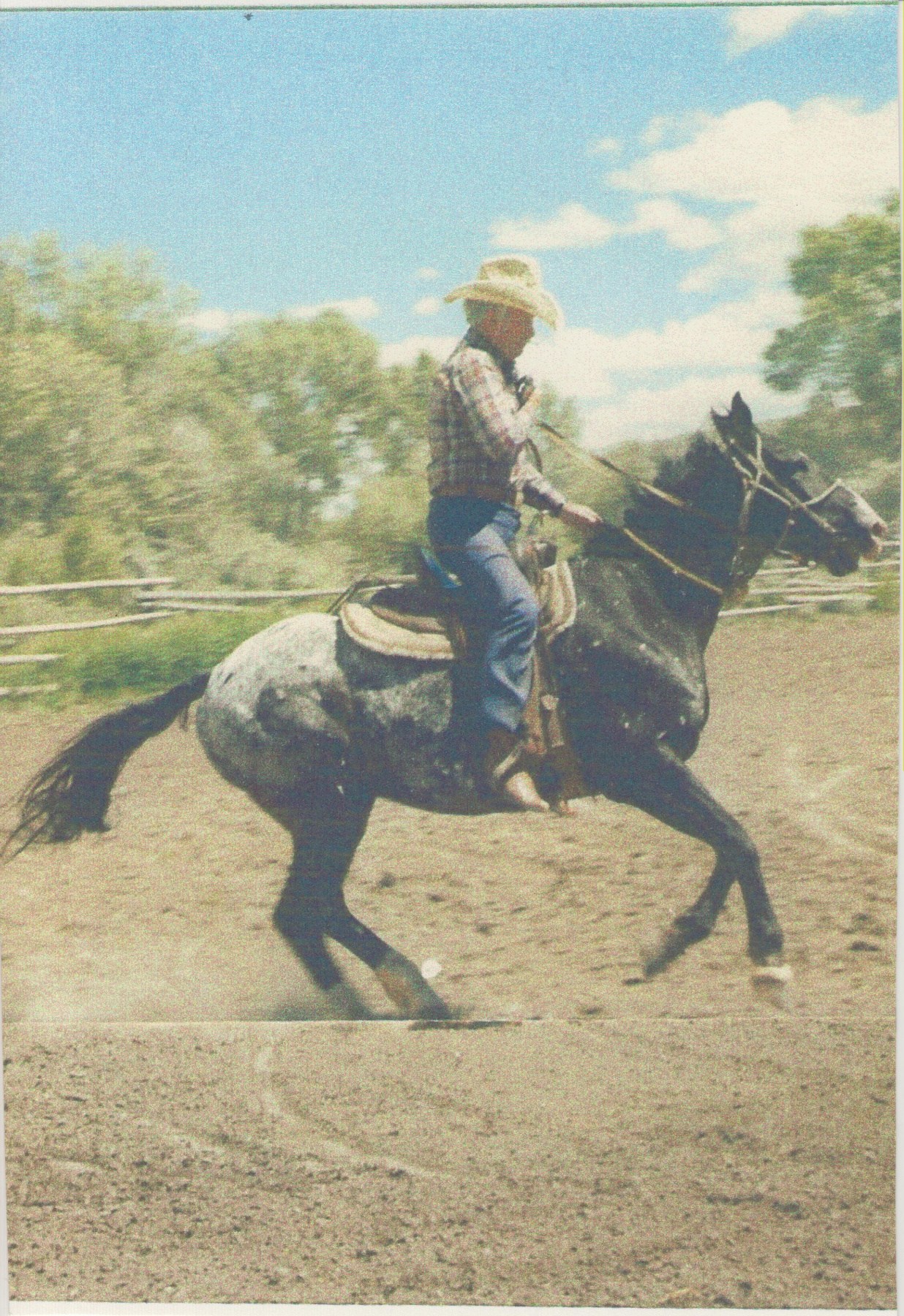 Philip Peterson Obituary - Riverside, CA