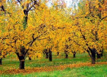 Obituary of John W Hardebeck