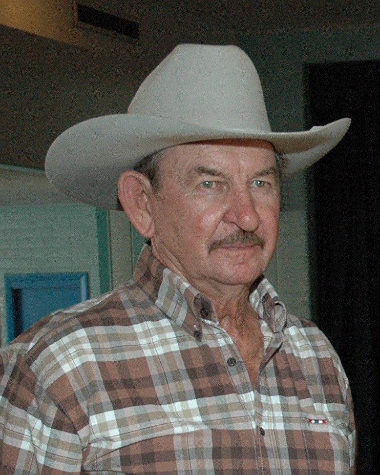 Obituary of Ray Allen Pesek