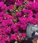 William Ripp William Ripp Obituary - Northridge, CA