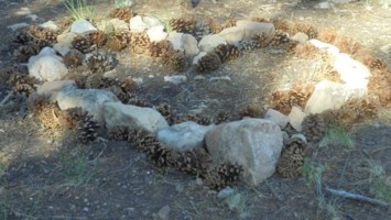 Obituary of Christina Ann Bentz