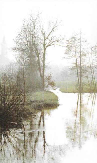 Obituary of Arturo E. Martinez