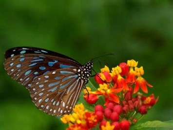 Obituary of Kelly Denice Luke