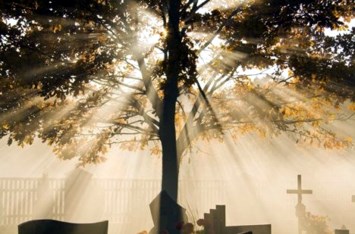 Obituary of Dorothy Thege Turner