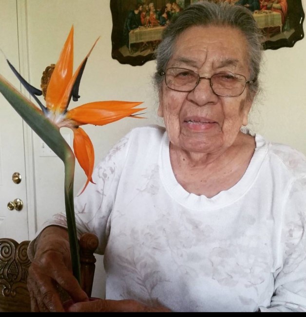 Obituary of Petra A. Rodriguez