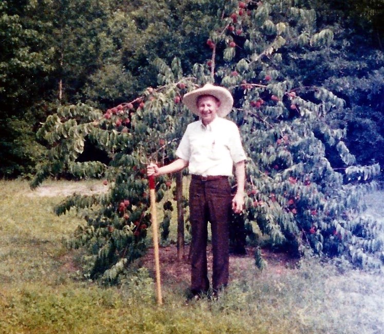 John Davies Obituary Winter Park Fl