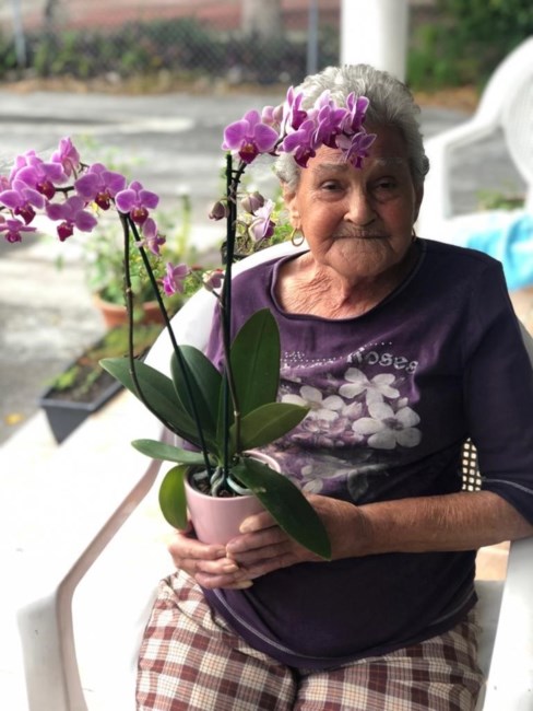 Obituary of Juana Paula Ortega Perez