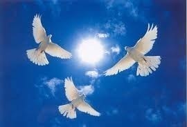 Obituary of Eutimia Castillo