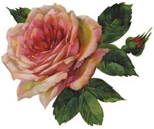 Obituary of Mary Louise Bragg Crockett