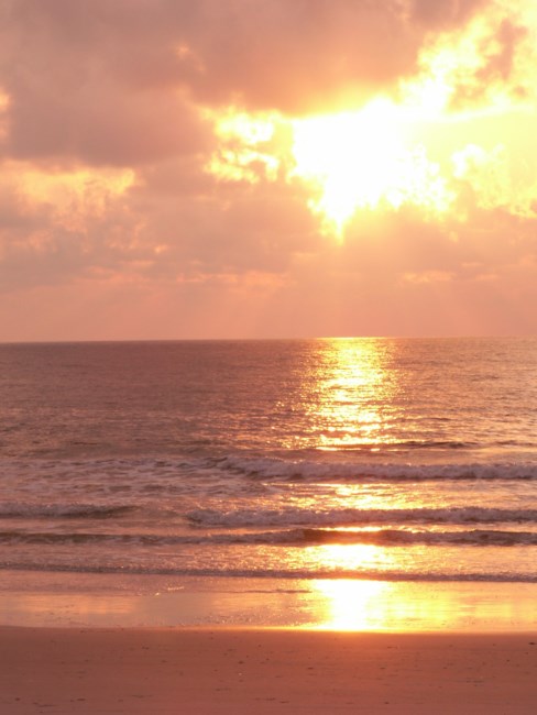 Obituary of Kenneth Weiss