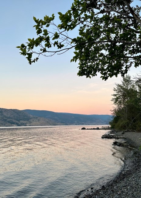 Avis de décès de Mrs. Ok Jo Lee