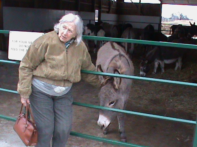 Obituary of Eleanor Deli