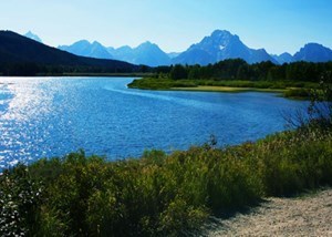 Obituary of David G Trowbridge