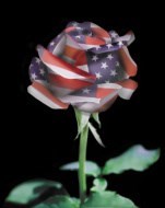 Avis de décès de Mr. David Richard Thomas