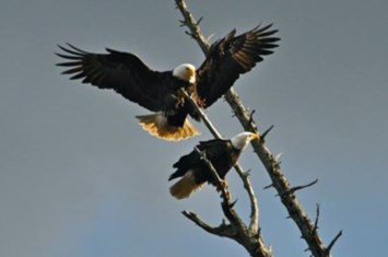 Obituary of Robert Harold DICK