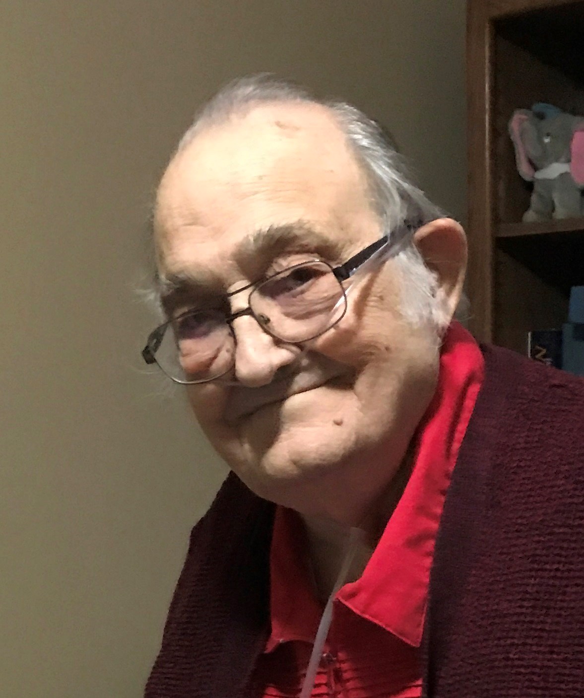 Obituary of John Leroy Johnston