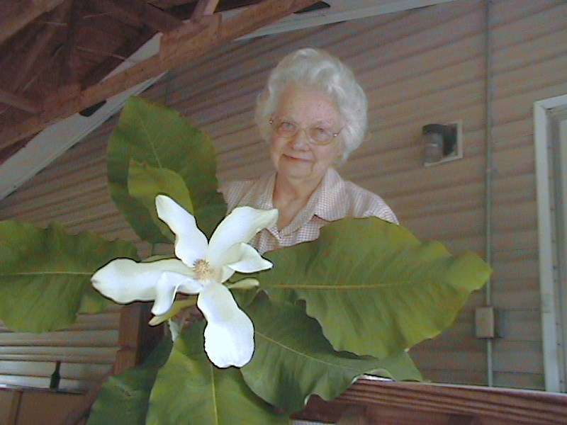 Obituary of Alice Riffe Lawley